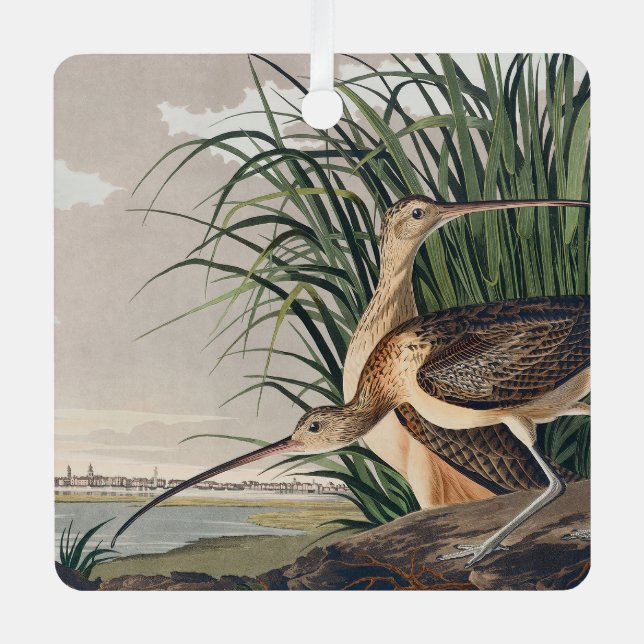 Audubon Long Billed Curlew Bird Ornament Aus Metall (Vorderseite)