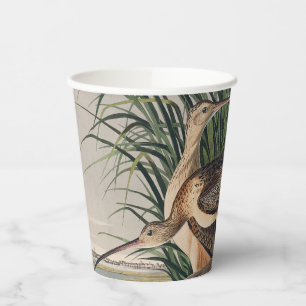 Audubon Long Billed Curlew Bird Pappbecher