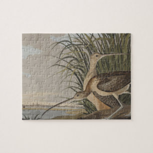 Audubon Long Billed Curlew Bird Puzzle