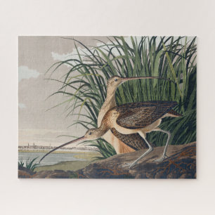 Audubon Long Billed Curlew Bird Puzzle