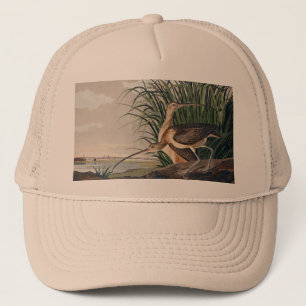 Audubon Long Billed Curlew Bird Truckerkappe