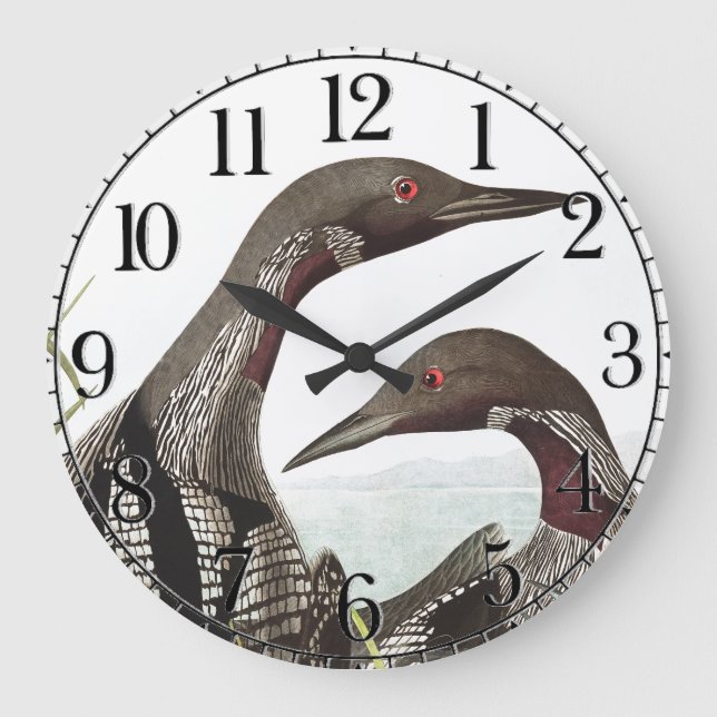 Audubon Loon Diver Birds Tiermauer Uhr (Vorderseite)