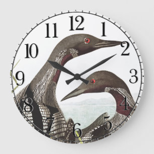 Audubon Loon-Taucher-Vogel-Tier-Wanduhr Große Wanduhr
