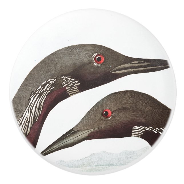 Audubon Loon-Vogel-Tier-Tier-Griff Keramikknauf (Vorderseite)