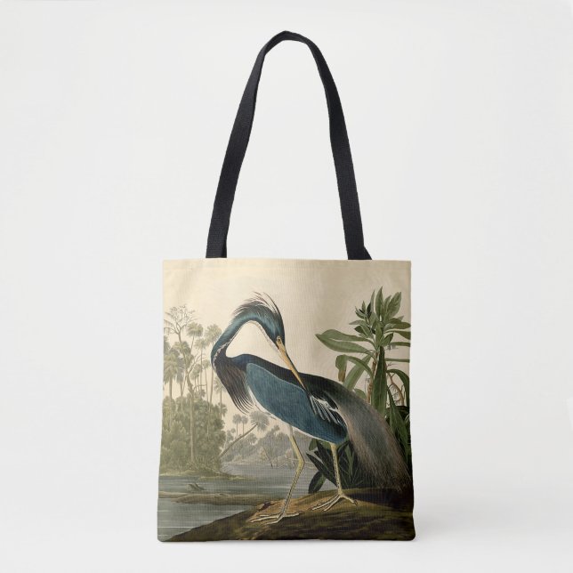 Audubon Louisiana Heron Birds America Art (Vorderseite)