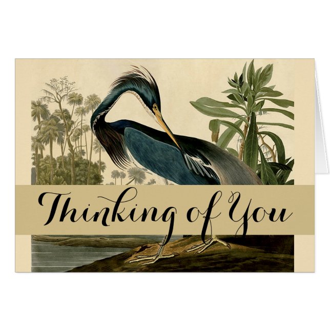 Audubon Louisiana Heron Birds America Art (Vorderseite (Horizontal))