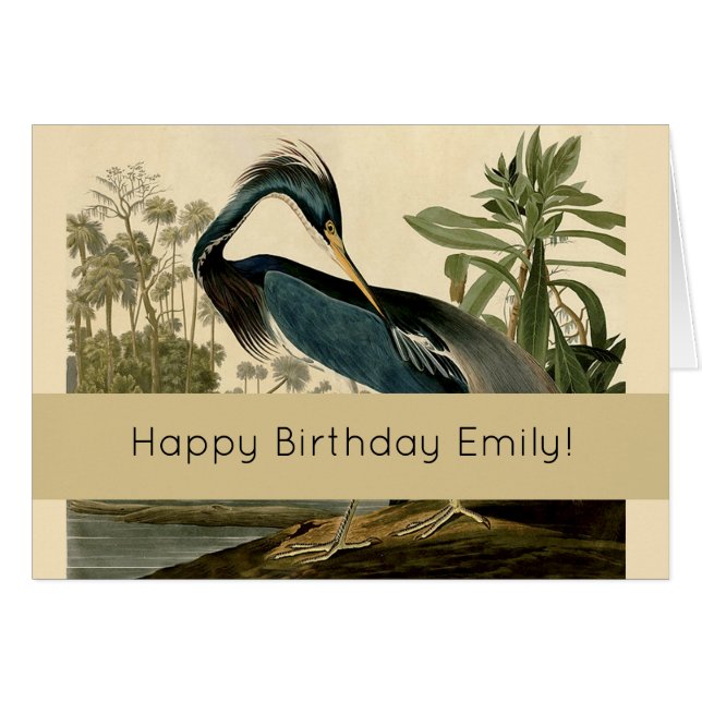 Audubon Louisiana Heron Birds America Art (Vorderseite (Horizontal))