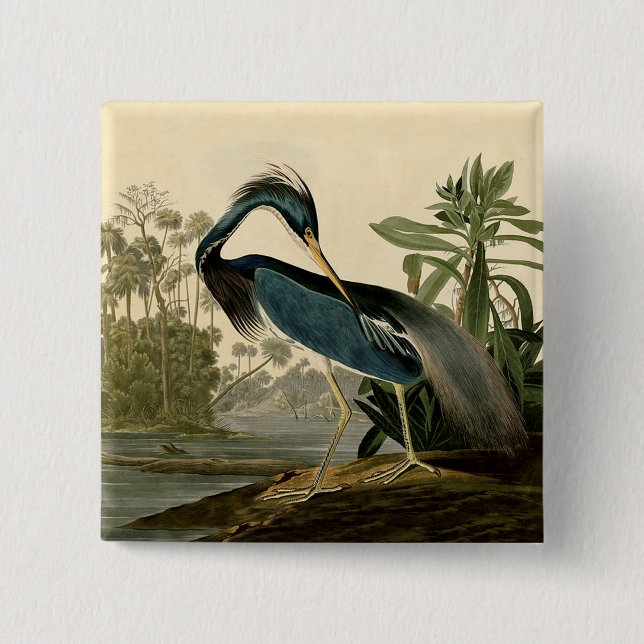 Audubon Louisiana Heron Birds America Art Button (Vorderseite)