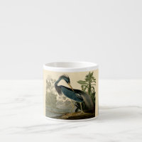 Audubon Louisiana Heron Birds America Art
