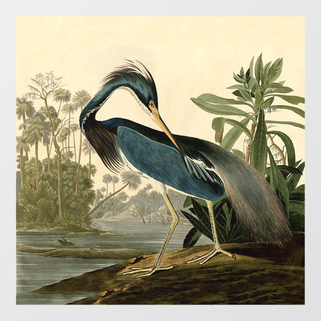 Audubon Louisiana Heron Birds America Art Fensteraufkleber