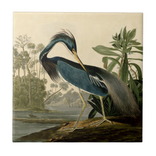 Audubon Louisiana Heron Birds America Art Fliese