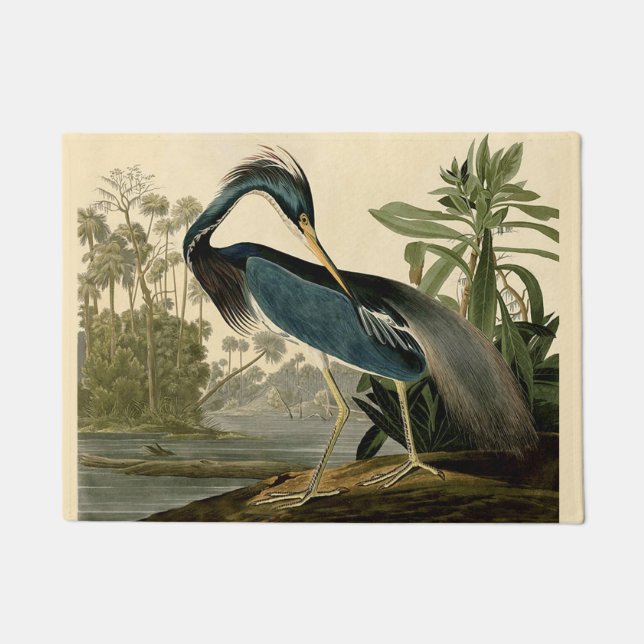 Audubon Louisiana Heron Birds America Art Fußmatte (Vorderseite)