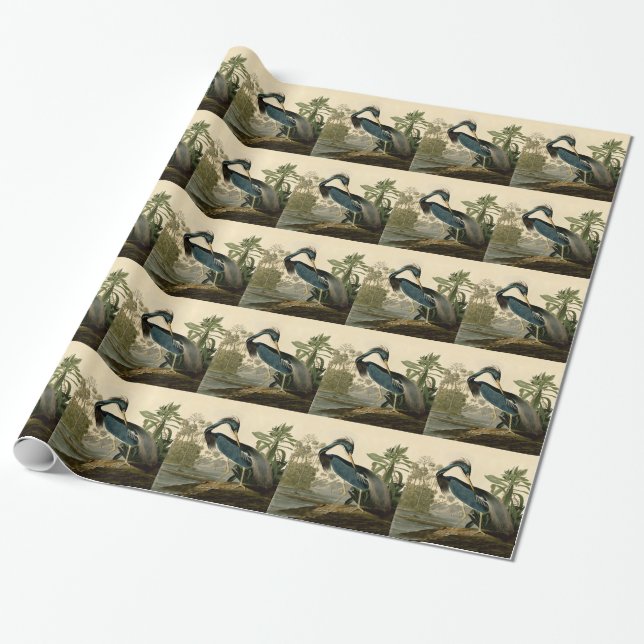 Audubon Louisiana Heron Birds America Art Geschenkpapier (Ungerollt)