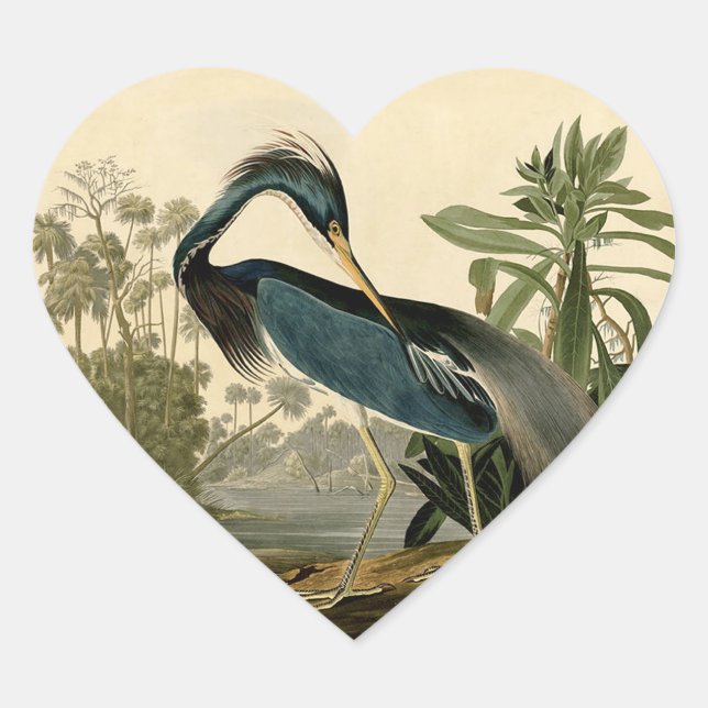 Audubon Louisiana Heron Birds America Art Herz-Aufkleber (Vorderseite)