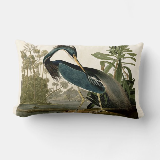 Audubon Louisiana Heron Birds America Art Lendenkissen (Vorderseite)