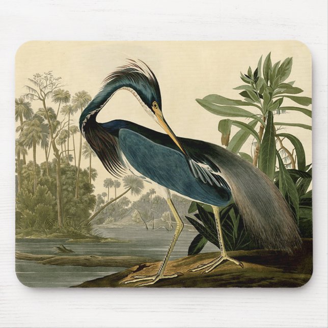 Audubon Louisiana Heron Birds America Art Mousepad (Vorne)
