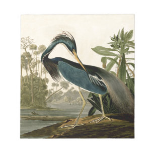 Audubon Louisiana Heron Birds America Art Notizblock