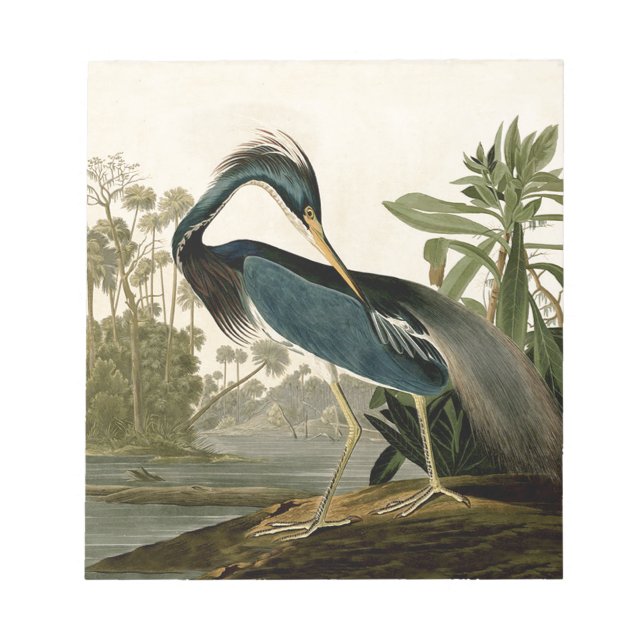 Audubon Louisiana Heron Birds America Art Notizblock (Vorderseite)