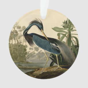 Audubon Louisiana Heron Birds America Art Ornament