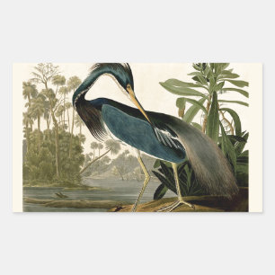 Audubon Louisiana Heron Birds America Art Rechteckiger Aufkleber