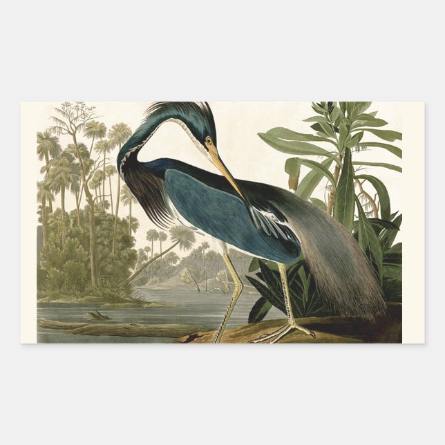 Audubon Louisiana Heron Birds America Art Rechteckiger Aufkleber (Vorderseite)