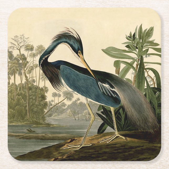 Audubon Louisiana Heron Birds America Art Rechteckiger Pappuntersetzer (Vorderseite)