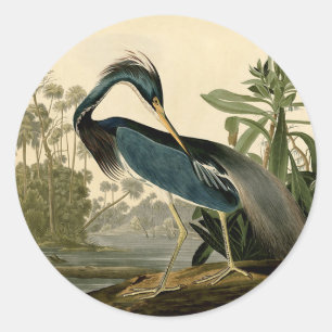 Audubon Louisiana Heron Birds America Art Runder Aufkleber