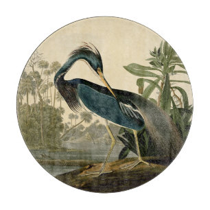 Audubon Louisiana Heron Birds America Art Schneidebrett