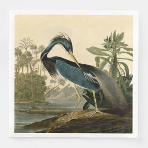 Audubon Louisiana Heron Birds America Art Serviette