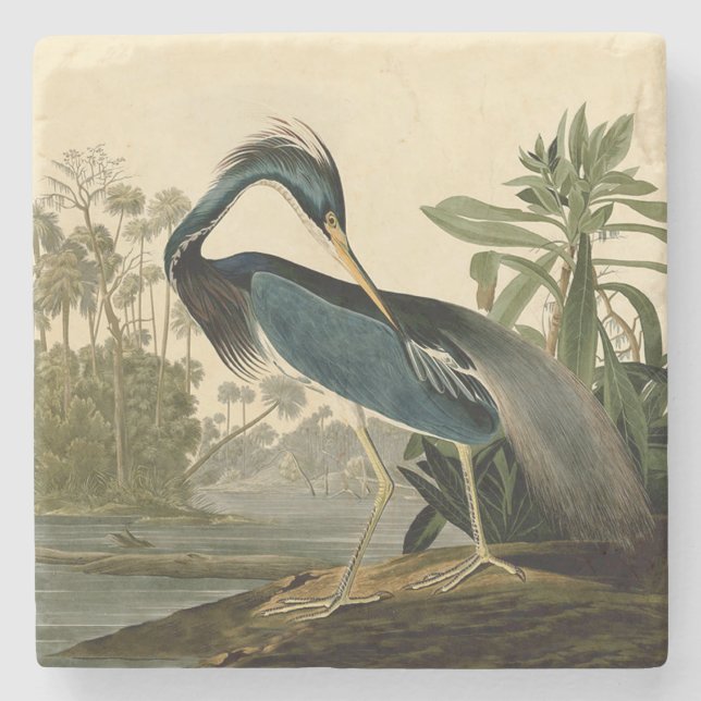 Audubon Louisiana Heron Birds America Art Steinuntersetzer (Vorderseite)