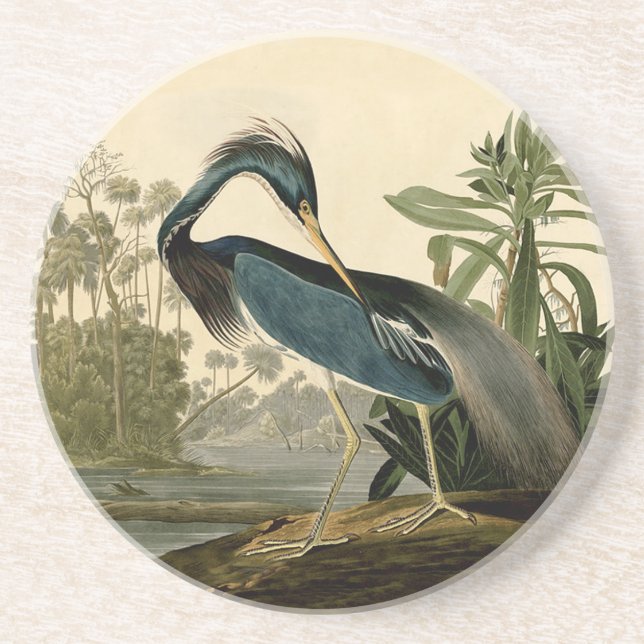Audubon Louisiana Heron Getränkeuntersetzer (Vorne)