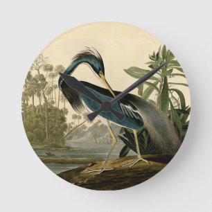 Audubon Louisiana Heron Runde Wanduhr