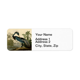 Audubon Louisiana Reiher Birds America Art
