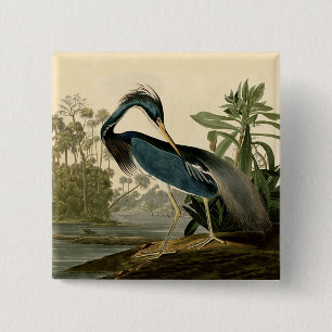 Audubon Louisiana Reiher Birds America Art Button
