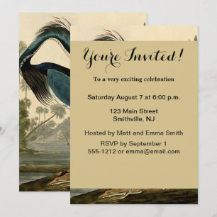 Audubon Louisiana Reiher Birds America Kunst Einladung
