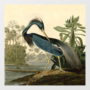 Audubon Louisiana Reiher Birds America Kunst Fensteraufkleber