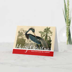 Audubon Louisiana Reiher Vögel Amerika Kunst Feiertagskarte