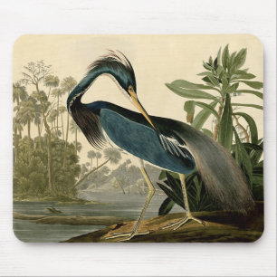 Audubon Louisiana Reiher Vögel Amerika Kunst Mousepad