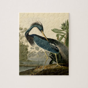 Audubon Louisiana Reiher Vögel Amerika Kunst Puzzle