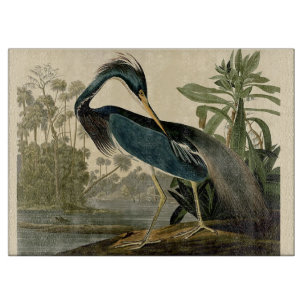 Audubon Louisiana Reiher Vögel Amerika Kunst Schneidebrett