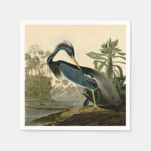 Audubon Louisiana Reiher Vögel Amerika Kunst Serviette
