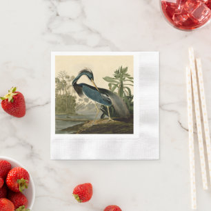Audubon Louisiana Reiher Vögel Amerika Kunst Serviette
