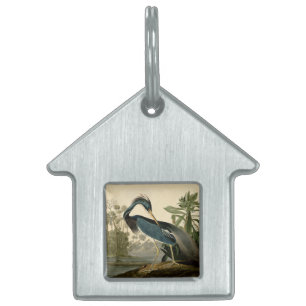 Audubon Louisiana Reiher Vögel Amerika Kunst Tiermarke