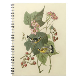 Audubon Magnolia Warbler Notizblock