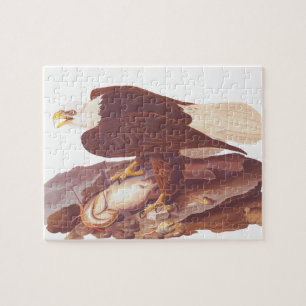 Audubon Majestic Bald Eagle mit frischem Fang Puzzle