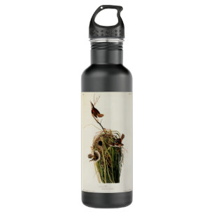 Audubon Marsh Wren Bird Art Trinkflasche