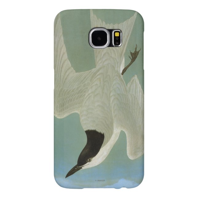 Audubon: Möve-Berechnete Seeschwalbe Case-Mate Samsung Galaxy Hülle (Rückseite)