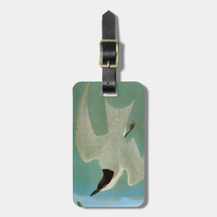 Audubon: Möve-Berechnete Seeschwalbe Gepäckanhänger