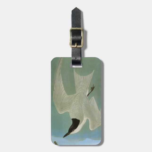 Audubon: Möve-Berechnete Seeschwalbe Gepäckanhänger (Vorderseite vertikal)