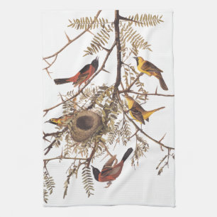Audubon Orchard Oriole Birds Nesting in Tree Küchentuch